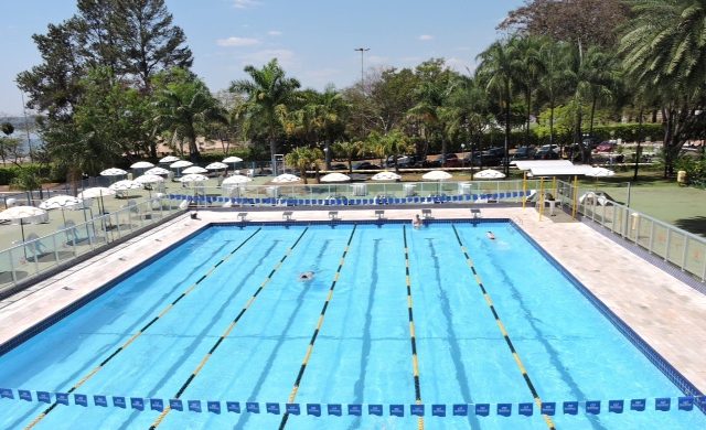 APCEF/SP  Festival de Verão traz competição de natação ao clube da capital  - APCEF/SP